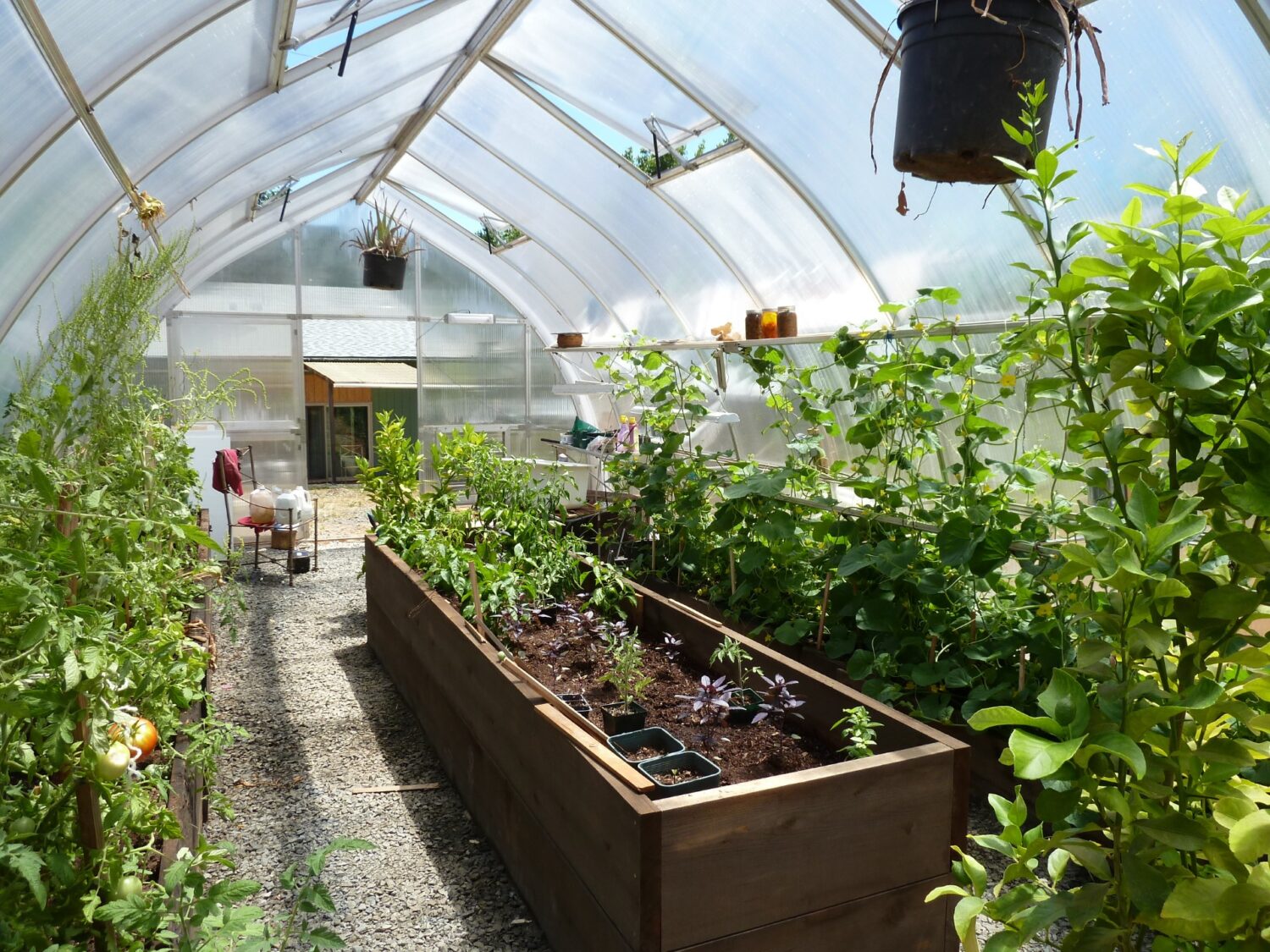 riga greenhouse