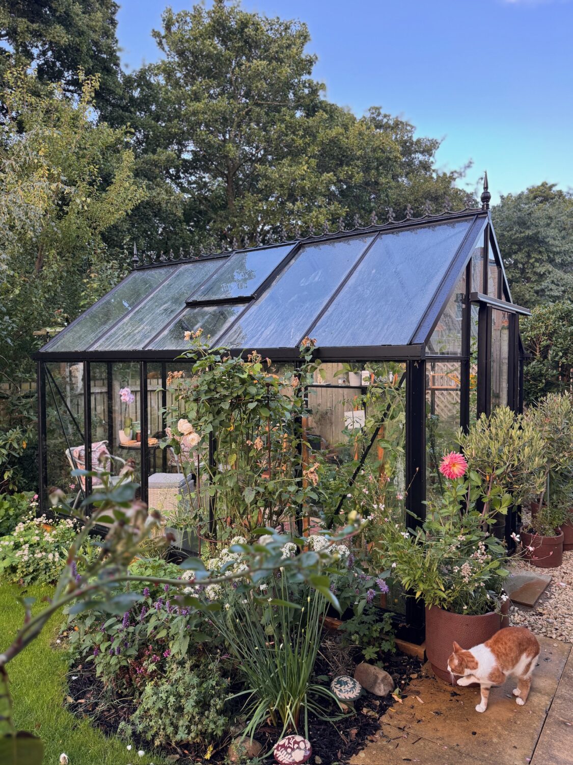 european greenhouse