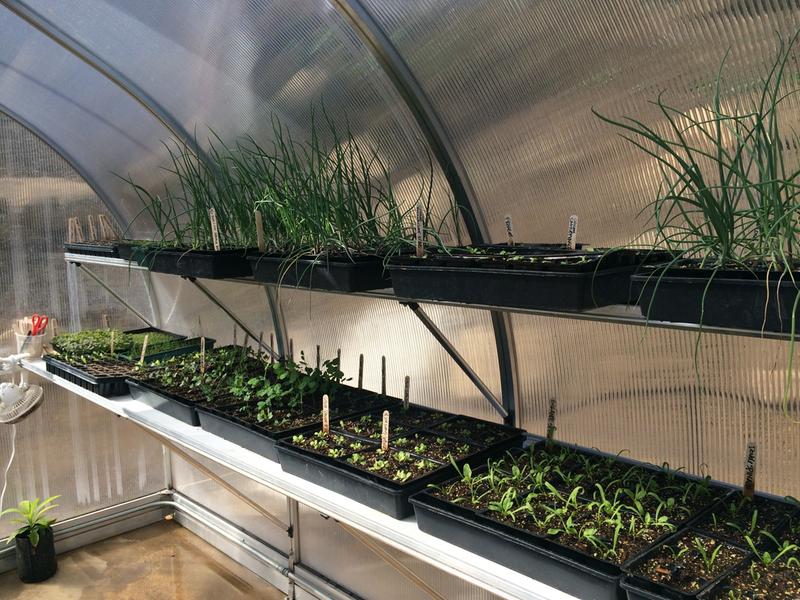 greenhouse accessories